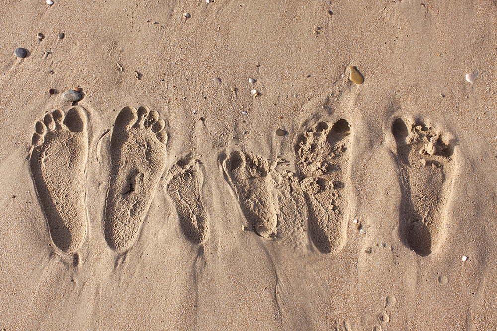 Family footprints in sand